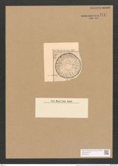 Surirella rotunda Pant. (de-Toni-Nr.: Genus 53, Species 2275) Zeichnungen Sammlung Grunow Nr. 4717 (NHMW-BOT-W0372812)